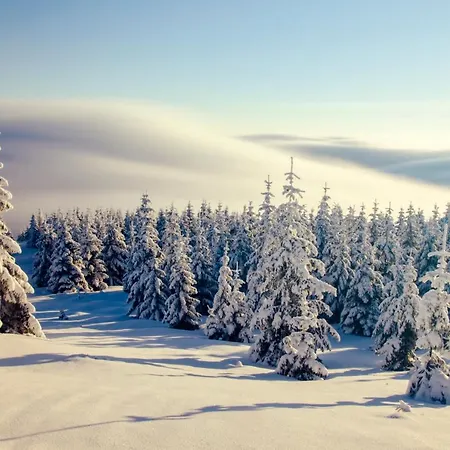 W Cieplicach Panorama