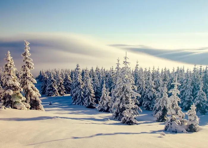 W Cieplicach Panorama